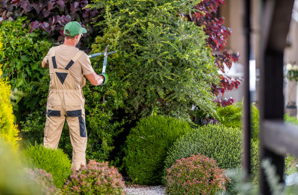 Garden Worker Trimming Decorative Trees